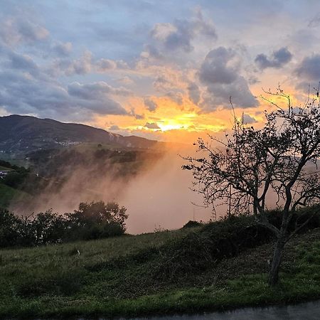 Arbela Apartamentuak Aia Dış mekan fotoğraf