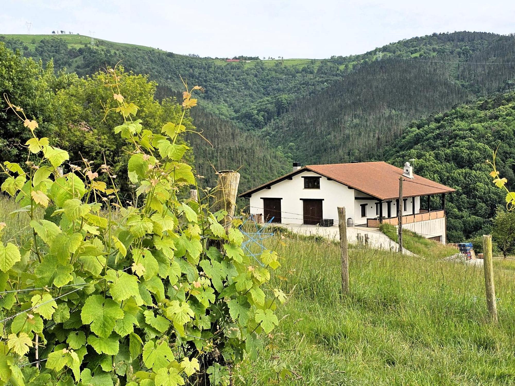 Arbela Apartamentuak Aia Dış mekan fotoğraf